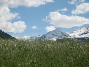 Rauris NP_Lauf