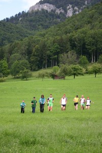 Wiese_Gaisberg_Web
